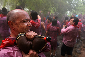 Batalla del vino