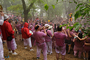 Batalla del vino