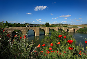 Puente de Briñas