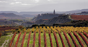 Viñedos de Haro