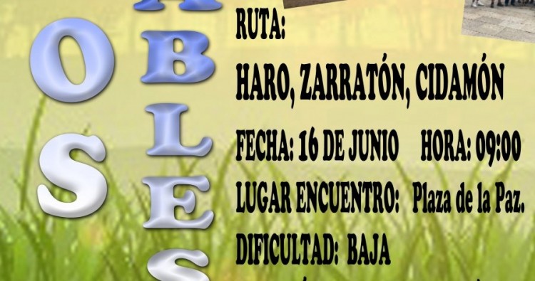 PASEO SALUDABLE: Haro, Zarratón y Cidamón