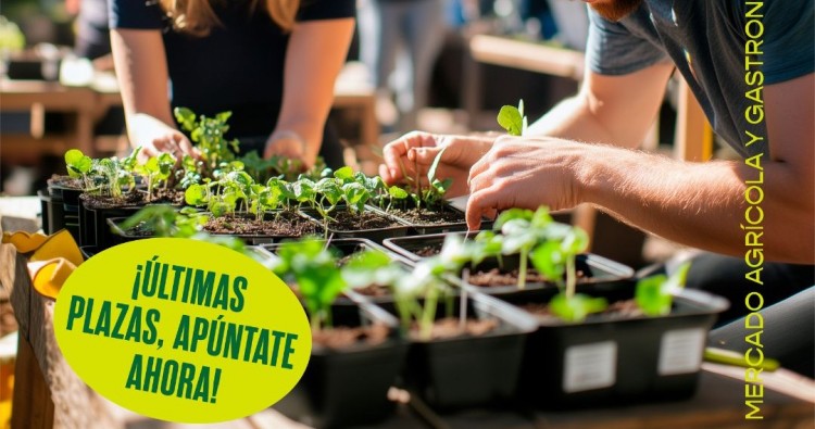 Taller para Adultos: Micro Huerto Ecológico