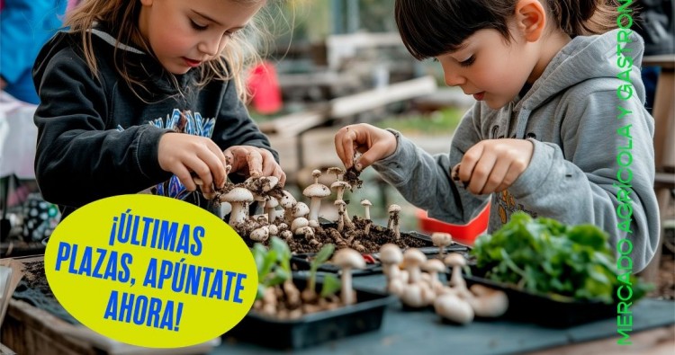 Taller Infantil: Aprende a crear tus propios champis