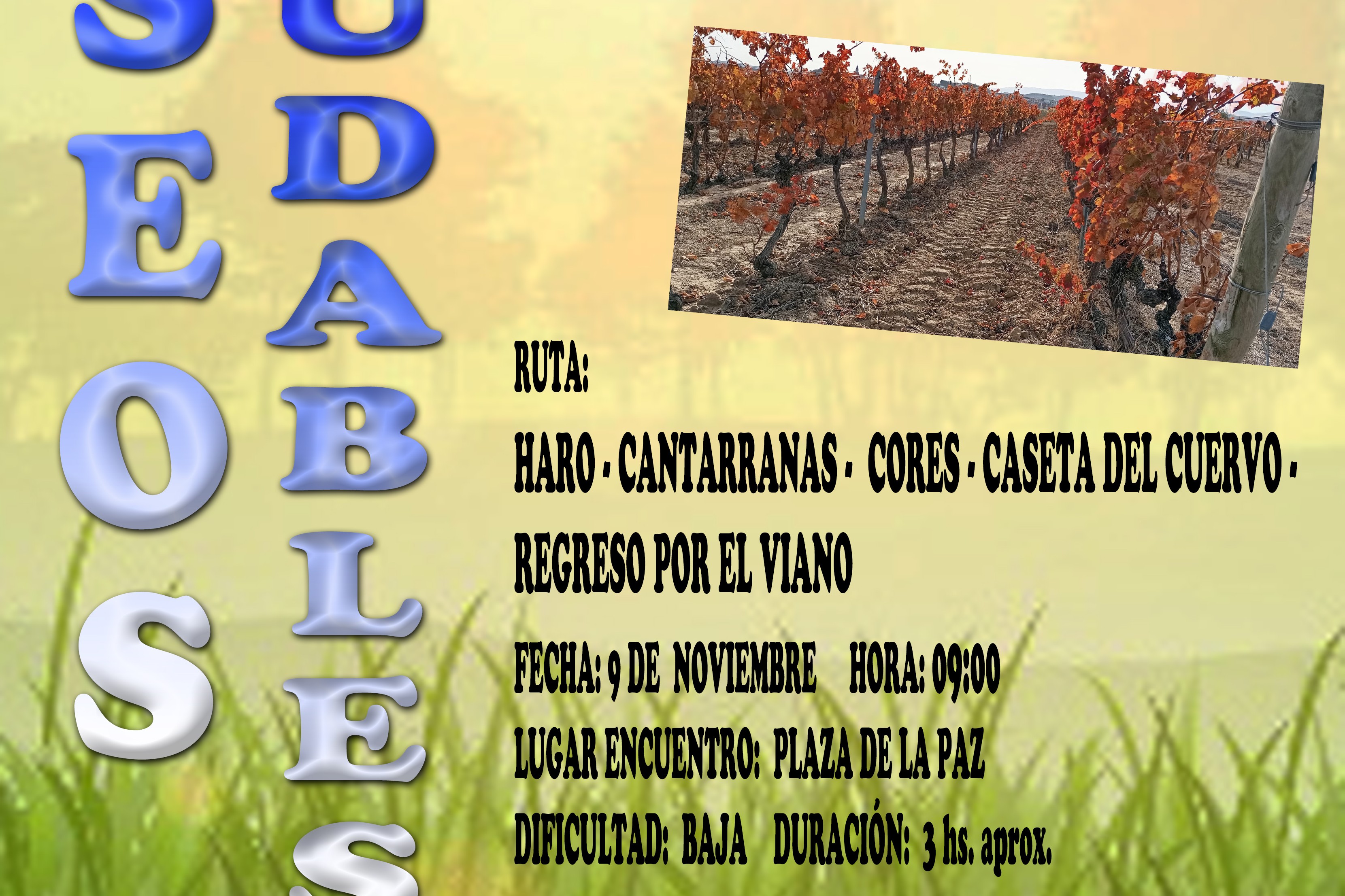 PASEO SALUDABLE DE NOVIEMBRE