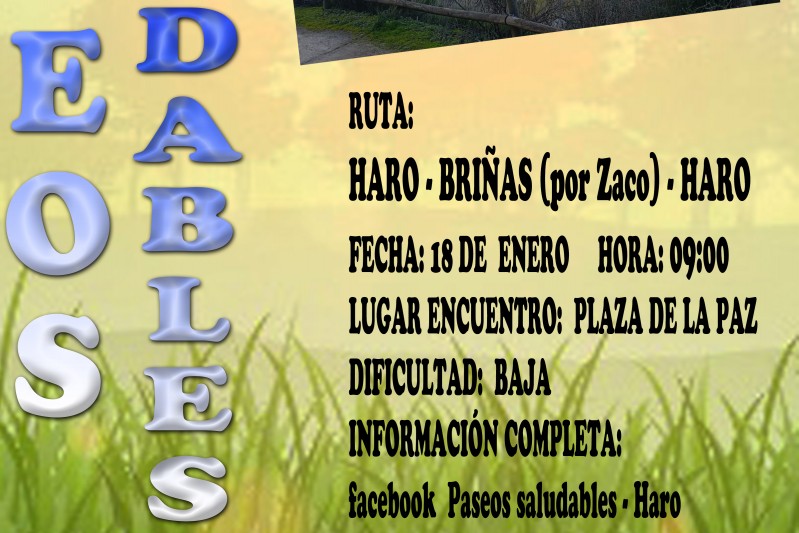 Paseo Saludable Enero: Haro - Briñas por Zaco
