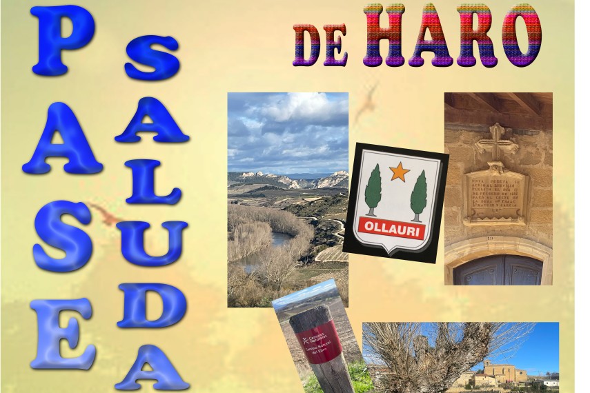 PASEO SALUDABLE: Haro - Gimileo - Mirador del Ebro - Ollauri - Haro