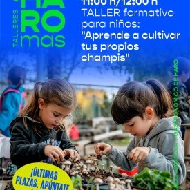 Taller Infantil: Aprende a crear tus propios champis