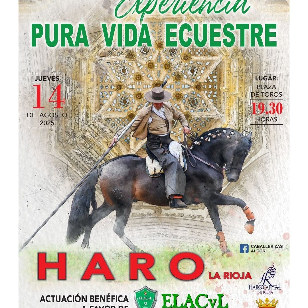 Espectáculo: Experiencia Pura Vida Ecuestre