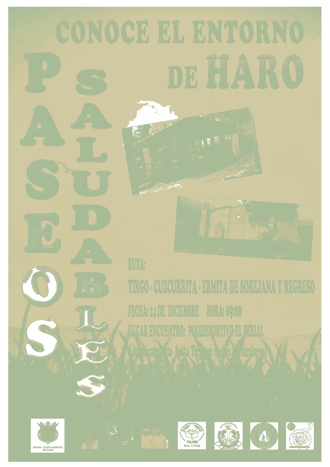 Paseo Saludable: Tirgo - Cuzcurrita - Ermita de Sorejana