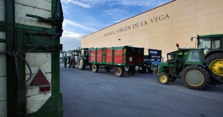 Bodegas Cooperativa Vírgen de la Vega