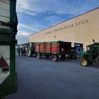 Bodega Cooperativa Interlocal Virgen de La Vega