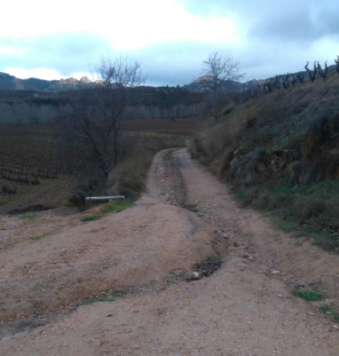 Cerca de 47.000 euros para los caminos rurales Enmedio y Los Huertos 