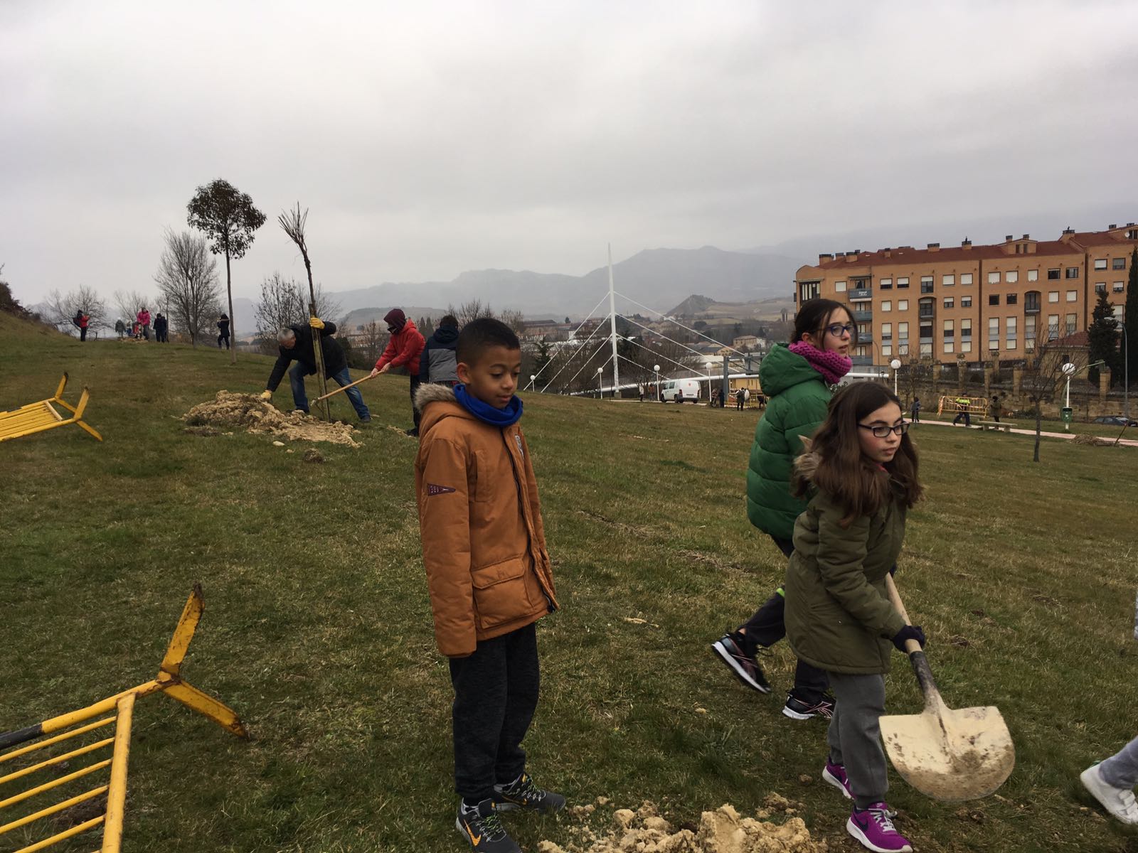 Muebles Guerra ha regalado 75 ejemplares de árboles y han sido plantados por escolares