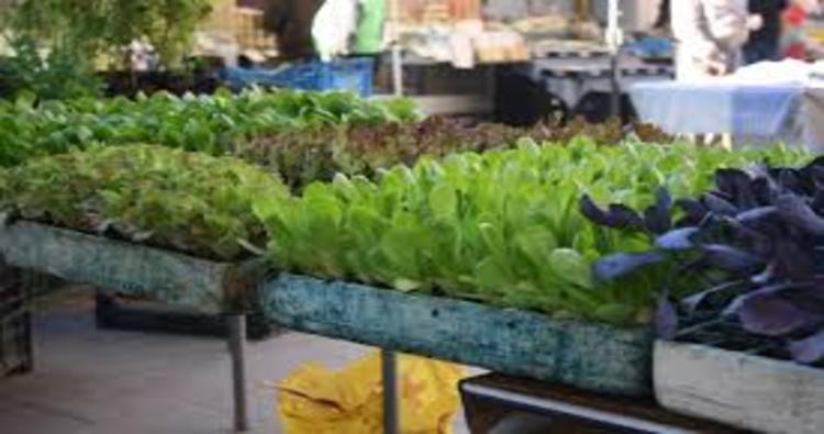 El mercadillo de Haro reanuda su actividad parcialmente