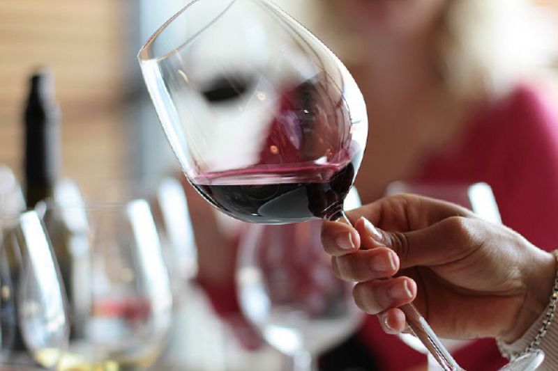 Nuevo curso de cata de vinos Rioja en Haro