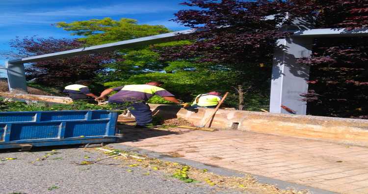 La Brigada de Obras desarrolla labores de limpieza en “La Atalaya”
