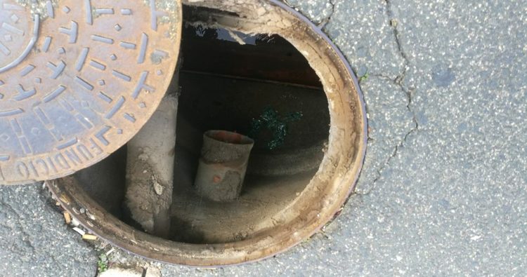 Campaña de desratización en la zona de “La Magdalena”