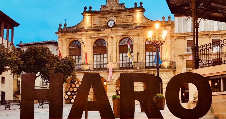 El pleno aprueba la devolución de la tasa de basuras a los empresarios afectados por el cierre de primeros de año