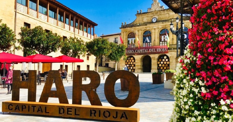 Haro presenta unas nuevas Jornadas Profesionales Informativas SICTED