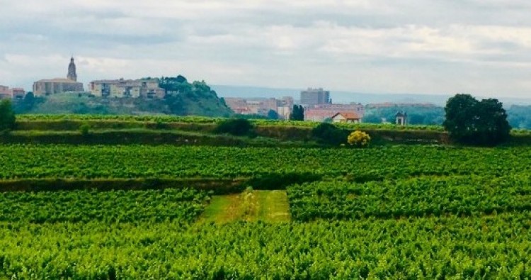 Haro se hermanará con Margaux-Cantenac el ocho de septiembre