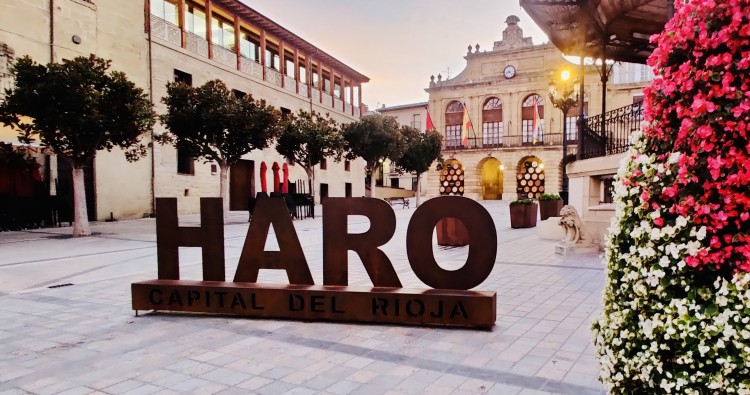 Laura Rivado: “Haro cerró 2021 con un 90% del presupuesto ejecutado”
