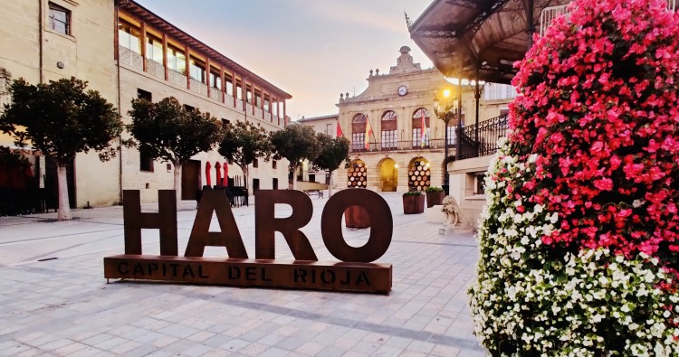 El Ayuntamiento de Haro presenta tres iniciativas para crear cuatro puestos de trabajo