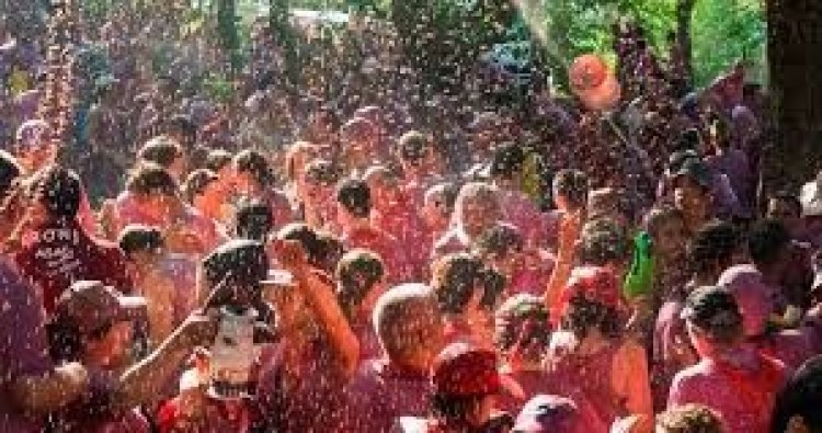 El 10 de mayo se abre el plazo para pedir los permisos de aparcamiento para la Batalla del Vino