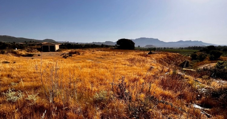 Haro autoriza al Gobierno de La Rioja el uso del antiguo vertedero para su restauración ambiental