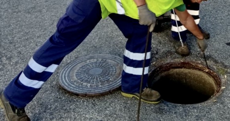 La empresa de limpieza prepara una campaña de desratización