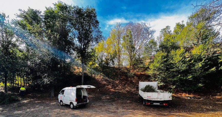 Comienzan los trabajos de limpieza en la fuente de Iturrimurri