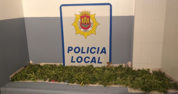 La Policía Local de Haro incauta más de diez plantas de marihuana