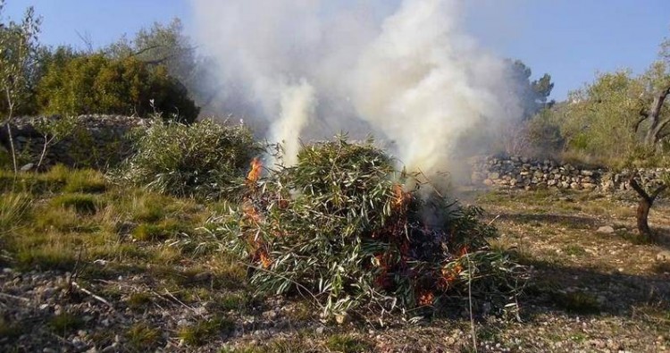 Suspendidos los permisos de quema de restos agrícolas 