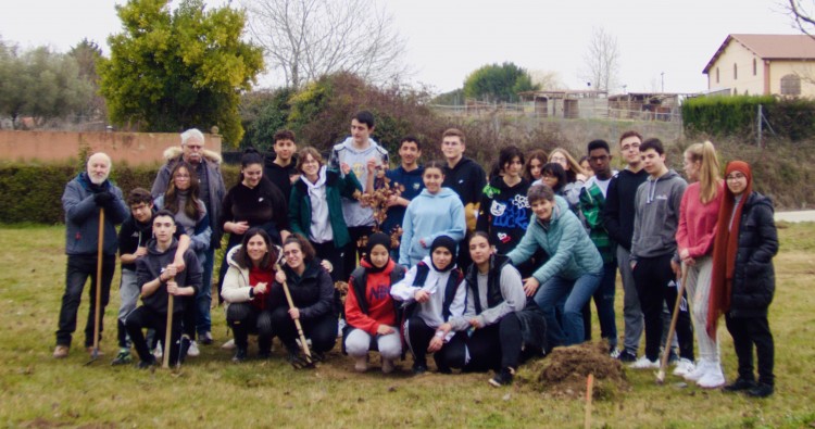 Más de 30 estudiantes participan en la plantación de árboles en Haro