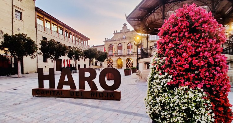 Haro progresa en su diagnóstico como destino turístico inteligente