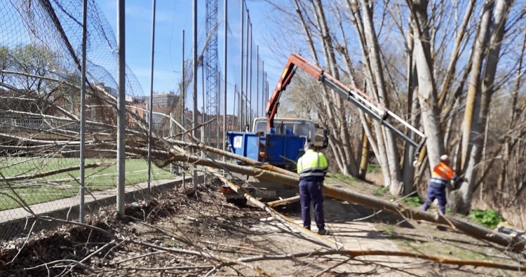 La Brigada de Obras acomete varios trabajos de mantenimiento en la ciudad