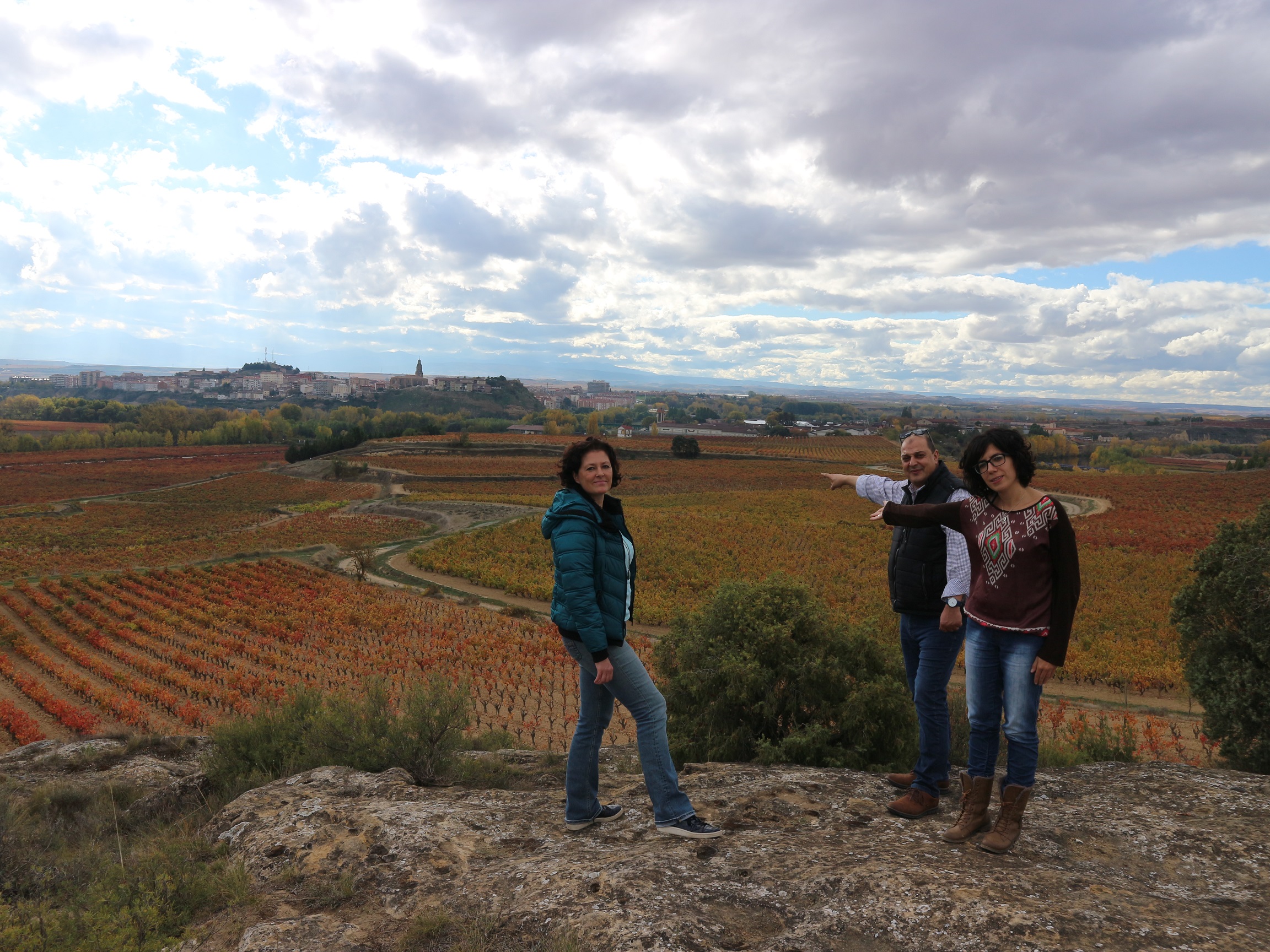 La ILP en Defensa del Paisaje Vitícola ya puede ser debatida en el Parlamento de La Rioja