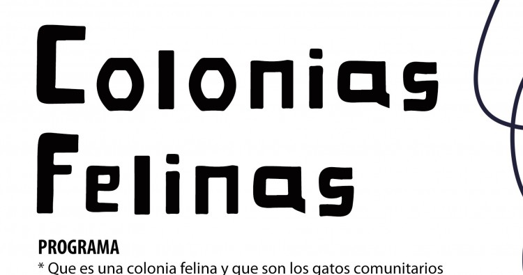 Charla sobre colonias felinas