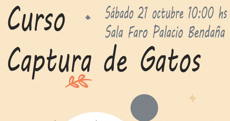 Curso de Captura de Gatos