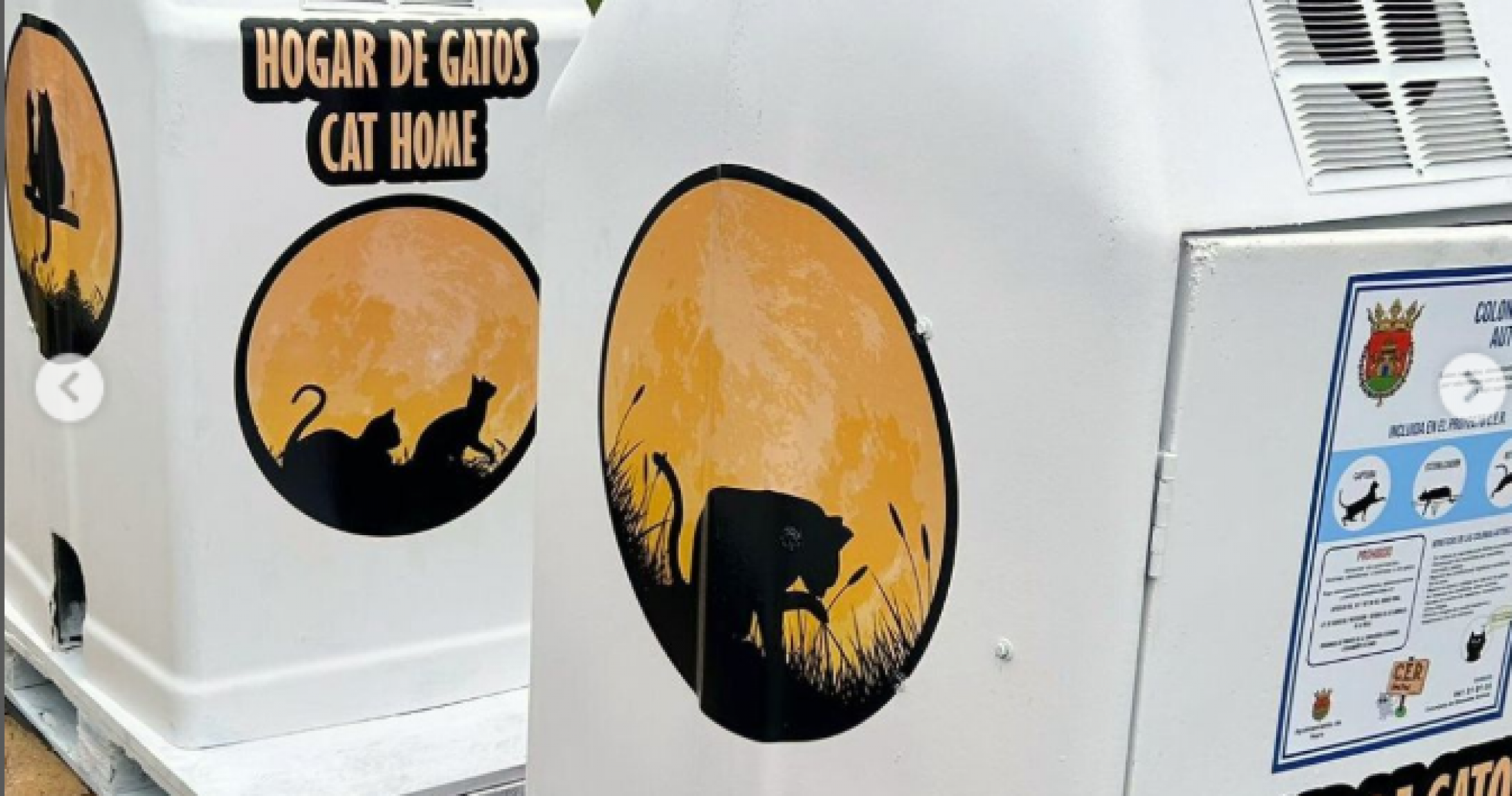 El Ayuntamiento adjudica el servicio de control de palomas, colonias felinas y perros extraviados 