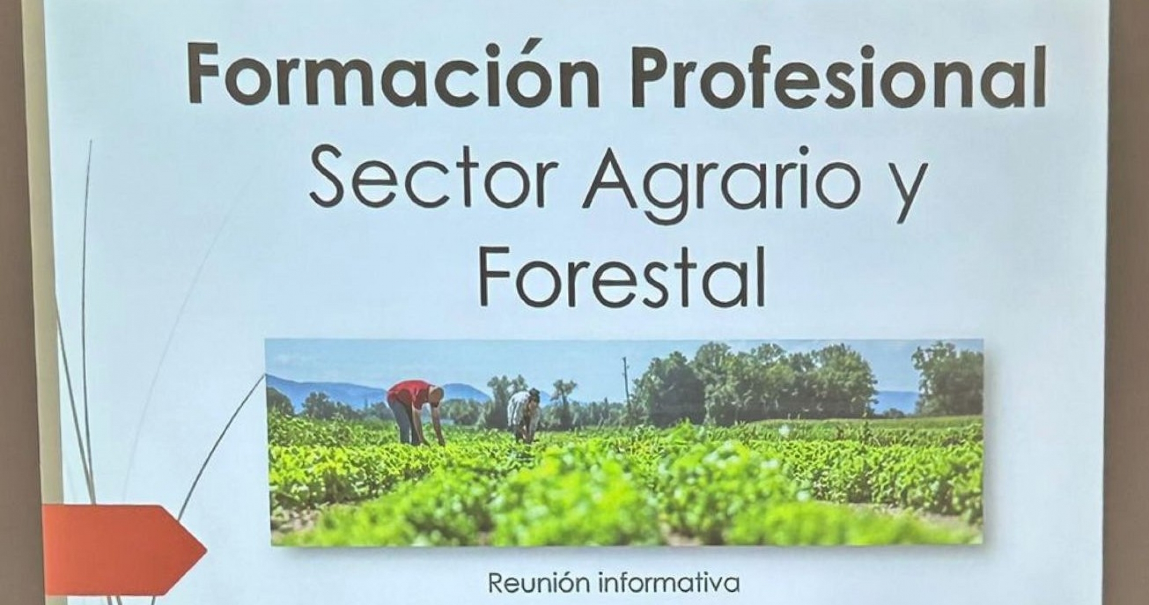 Formación Profesional relacionada con el sector agrario y forestal