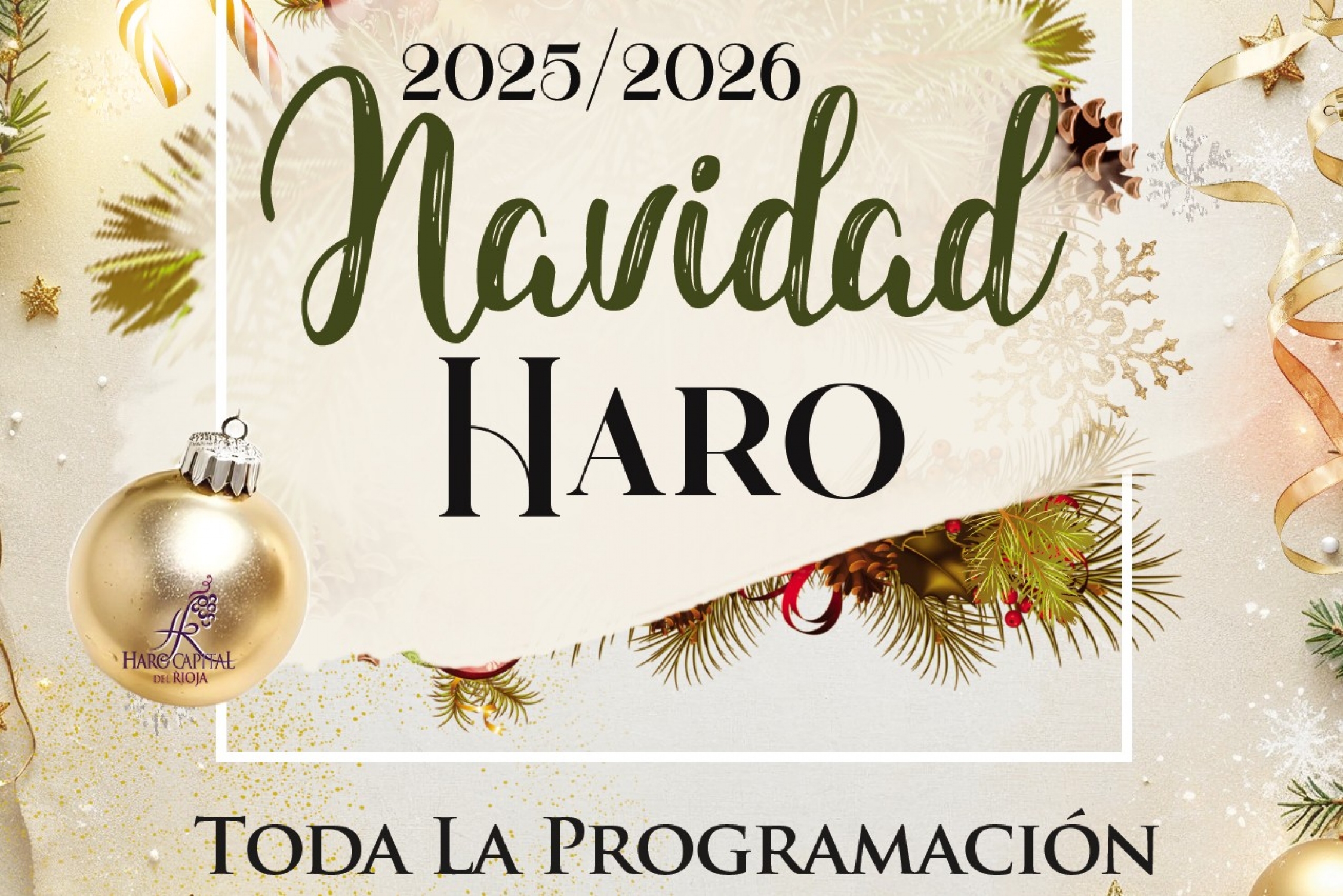 PROGRAMA DE NAVIDAD 2025