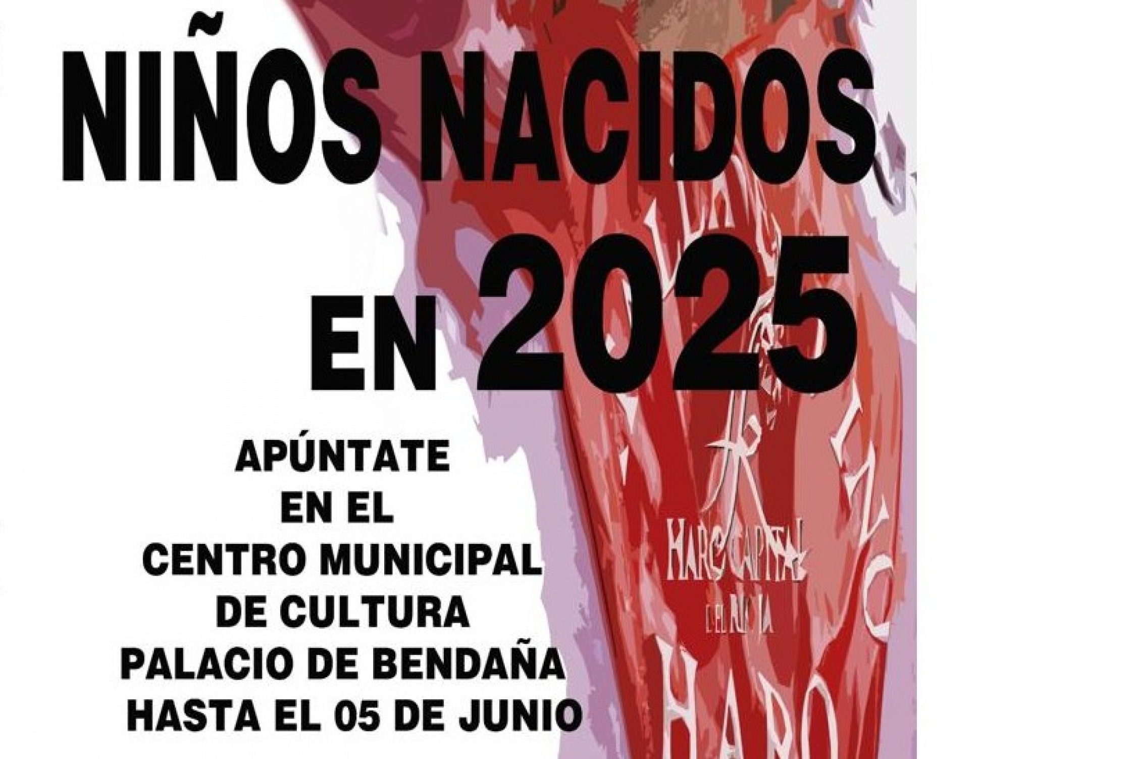 FIESTAS: Mi Primer Pañuelo