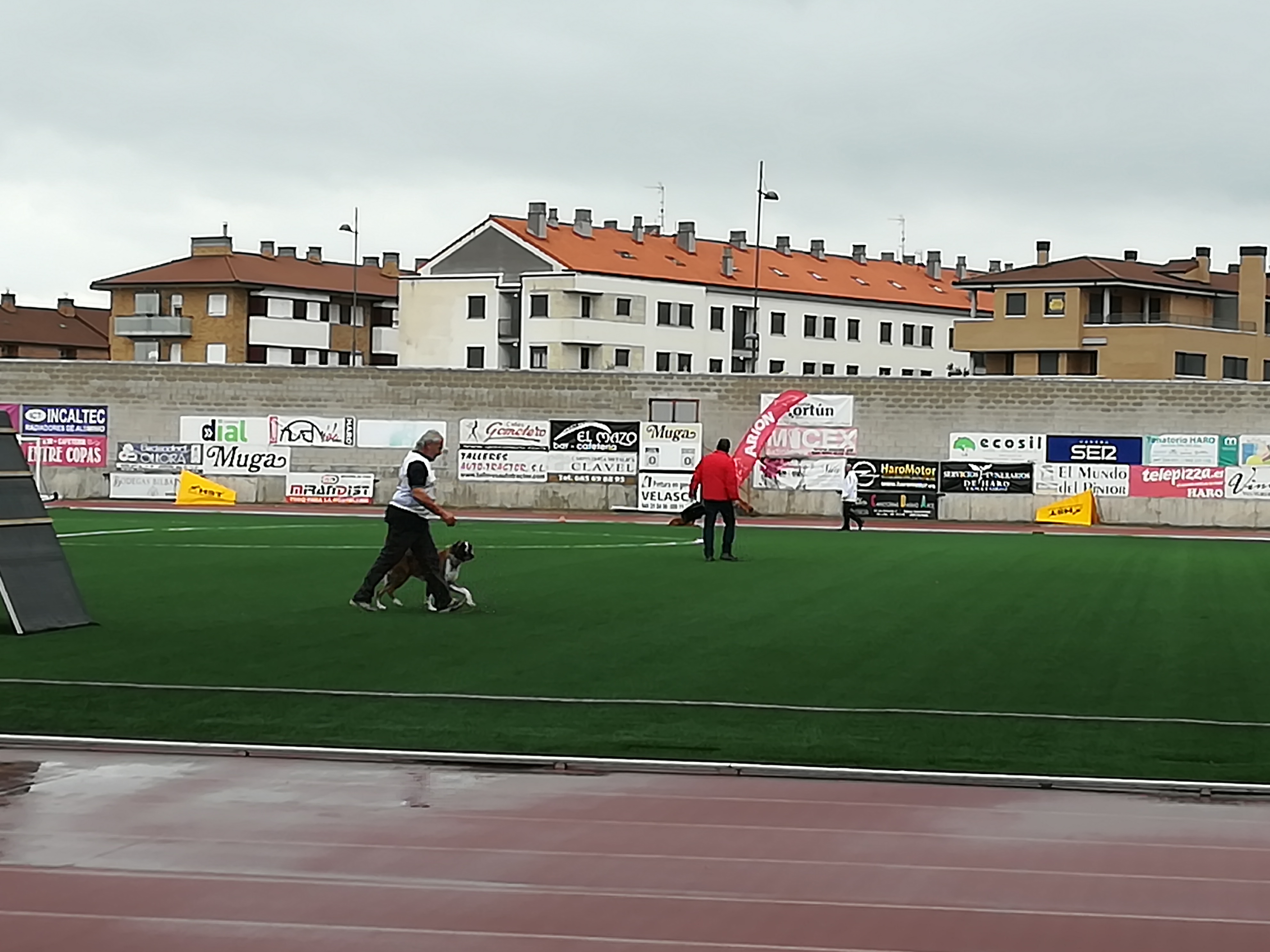 Sigue el Campeonato del Mundo de Trabajo Deportivo con Perros