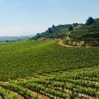 El Ayuntamiento completa el diseño de dos rutas turísticas naturales