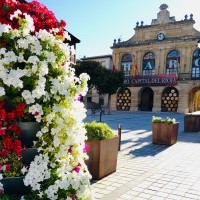 El Ayuntamiento refuerza el servicio de limpieza de los centros de escolares de primaria