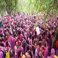 Publicadas las bases para adquirir los vales de las Cántaras de Vino y los Permisos de Veh