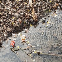 El Ayuntamiento suspende la recogida de residuos de este domingo