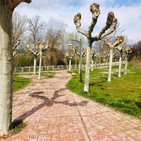 Imperativo, seguir las indicaciones de las autoridades sanitarias