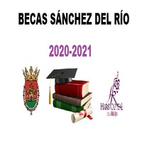 El Ayuntamiento de Haro reúne la Comisión Permanente del Consejo Escolar Municipal