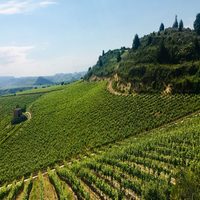 El Ayuntamiento completa el diseño de dos rutas turísticas naturales